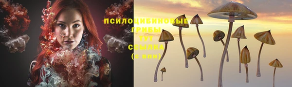 спиды Балабаново