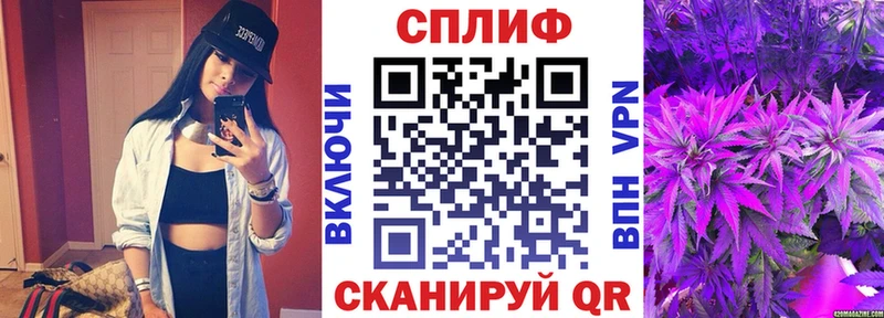 Бошки Шишки White Widow  Могоча 